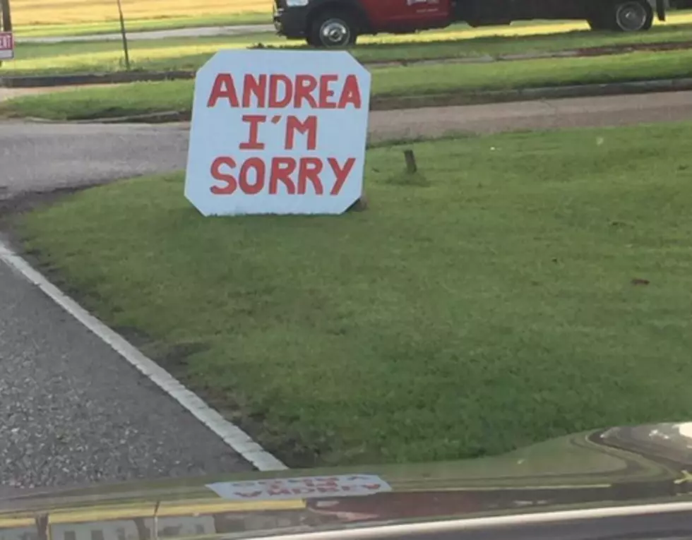 What Happened, Andrea? 