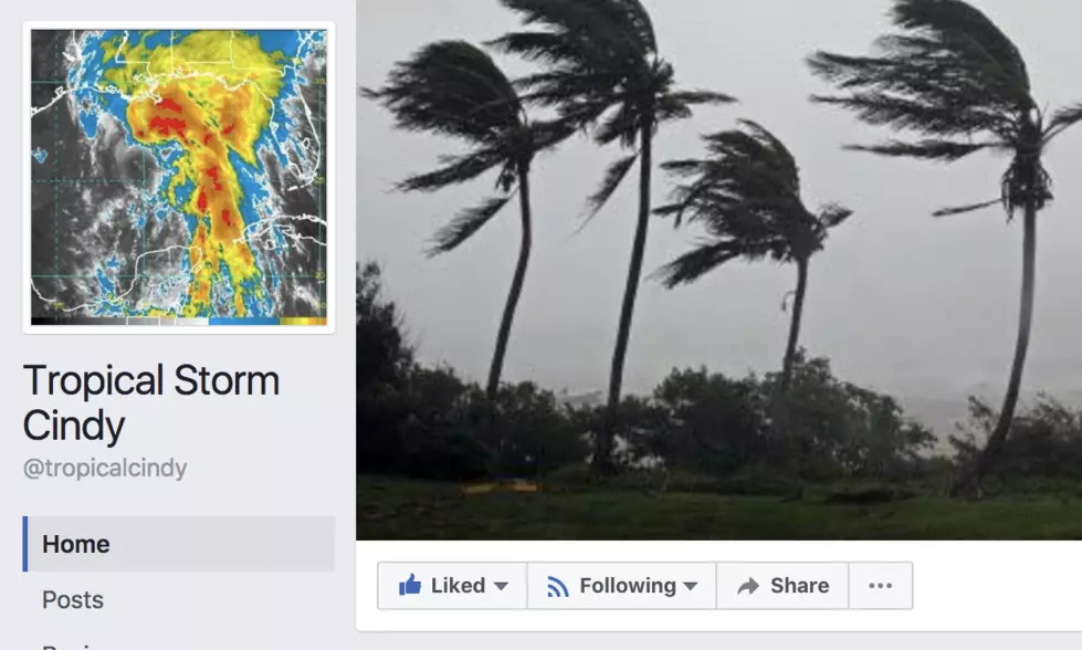 Tropical Storm Cindy Facebook Page Has Been Deleted [UPDATED]