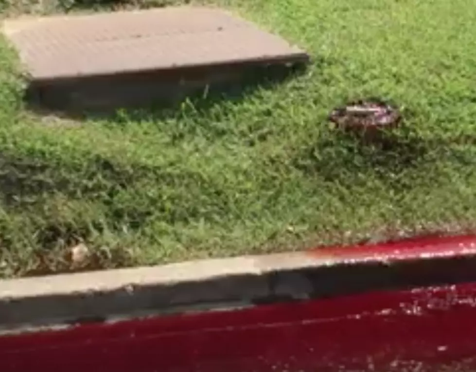 Blood Seen Leaking From Ground Behind Funeral Home [VIDEO]