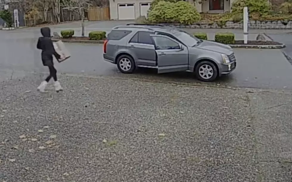 Woman Catches Package Thief In Driveway [NSFW-VIDEO]