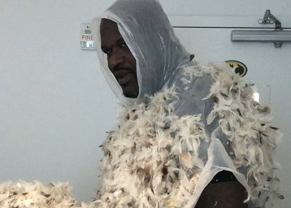 Shaq Dresses Like Bird And Spreads Feathers Throughout Office [VIDEO]