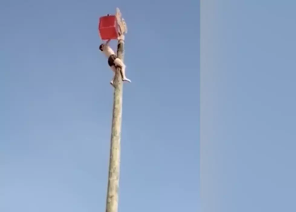 Man Falls From Pole During Folk Festival [VIDEO]