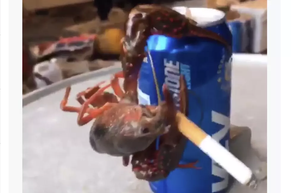  Crawfish Clinging To A Beer While Holding A Cigarette