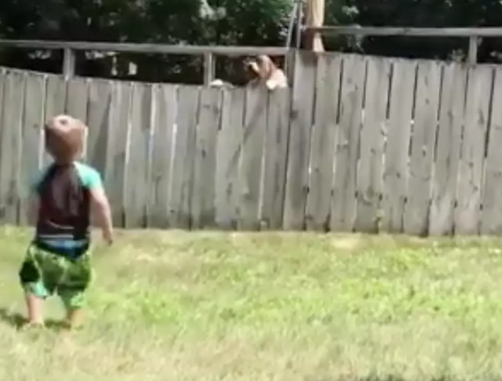 Kid And Dog Play Fetch Over A Fence [VIDEO]