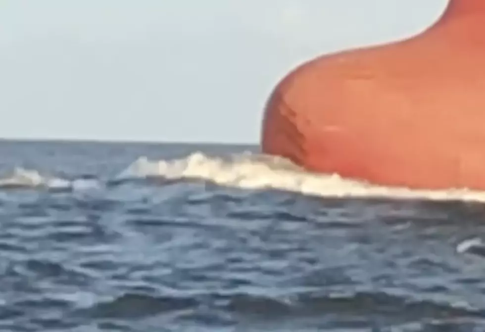 Pink Dolphins Spotted In Calcasieu Ship Channel [Video]