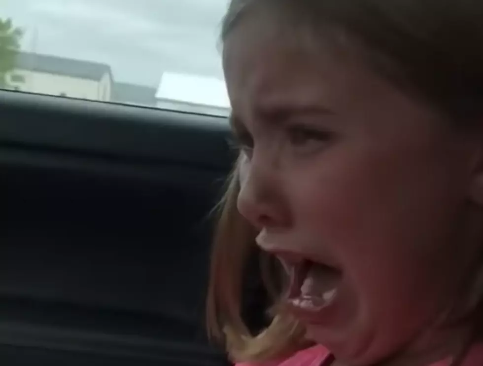 Little Girl’s Experience With New Kitten Doesn’t Go So Well [VIDEO]
