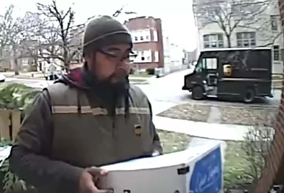 Squirrel Jumps On Delivery Man While Waiting At Front Door [VIDEO]