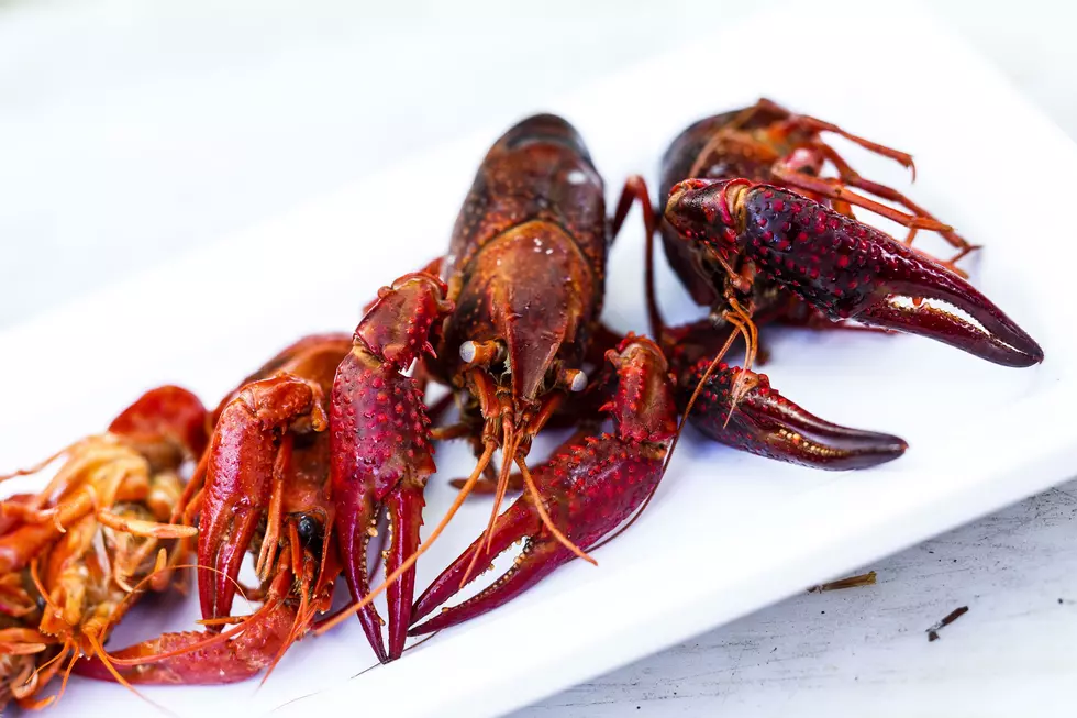 Crawfish Now Comes In A Microwavable Bag [PHOTO]