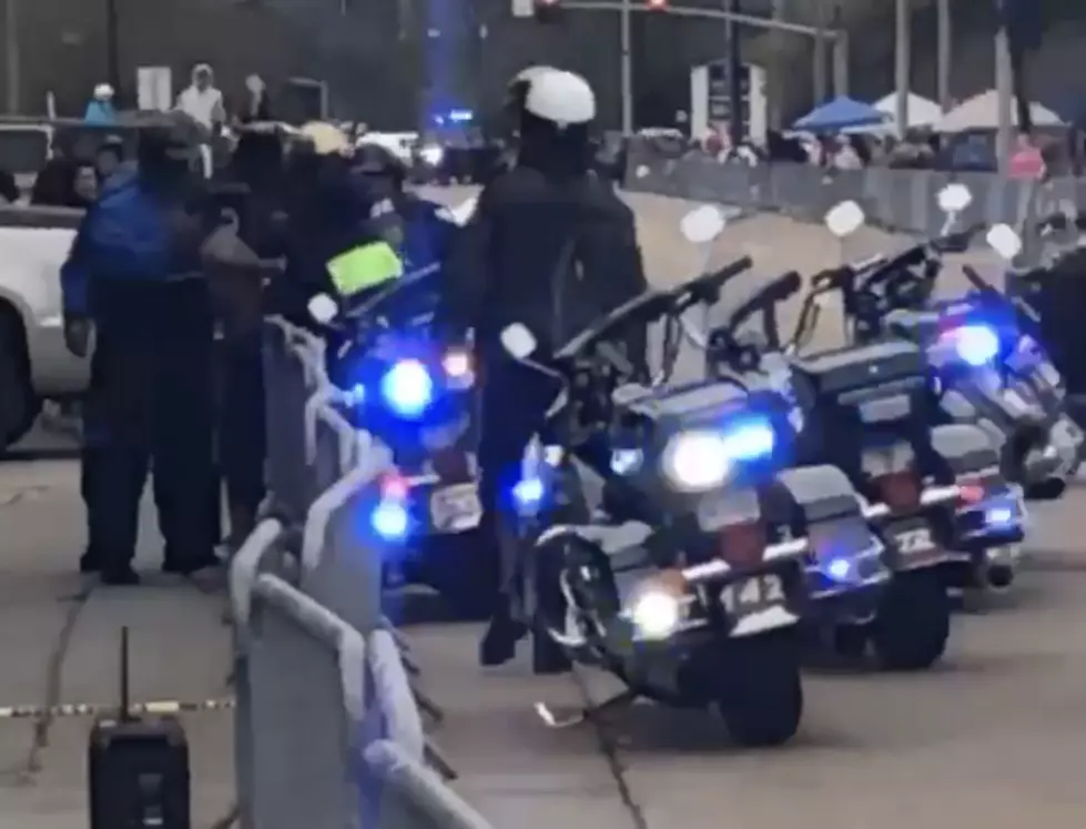 Police Swiftly Apprehends Woman Who Flashes Crowd Along Mardi Gras Parade Route [VIDEO]