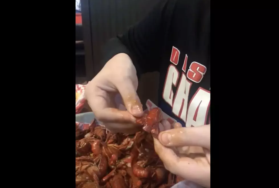 Real Cajuns Hilariously React To Viral Crawfish ‘De-Pooping’ Video