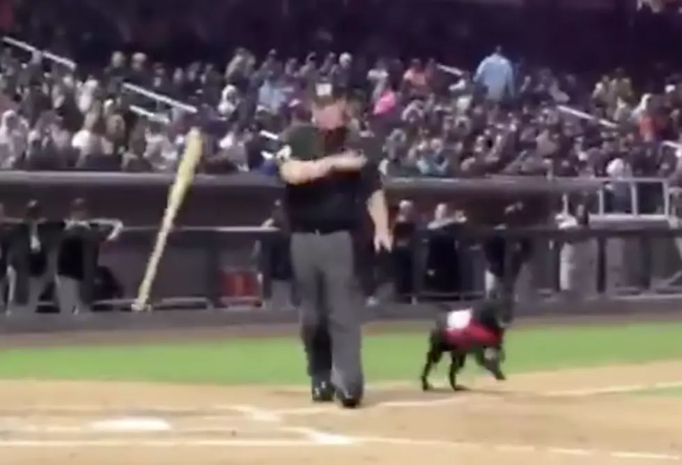 Umpire Booed For Being A Jerk And Tossing The Bat [VIDEO]