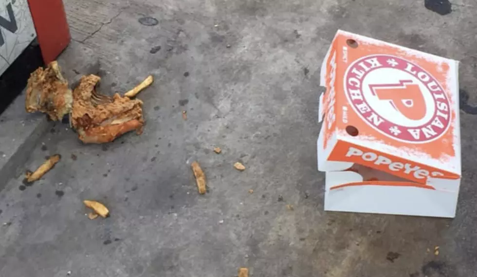 Why Do People Still Litter In Acadiana?