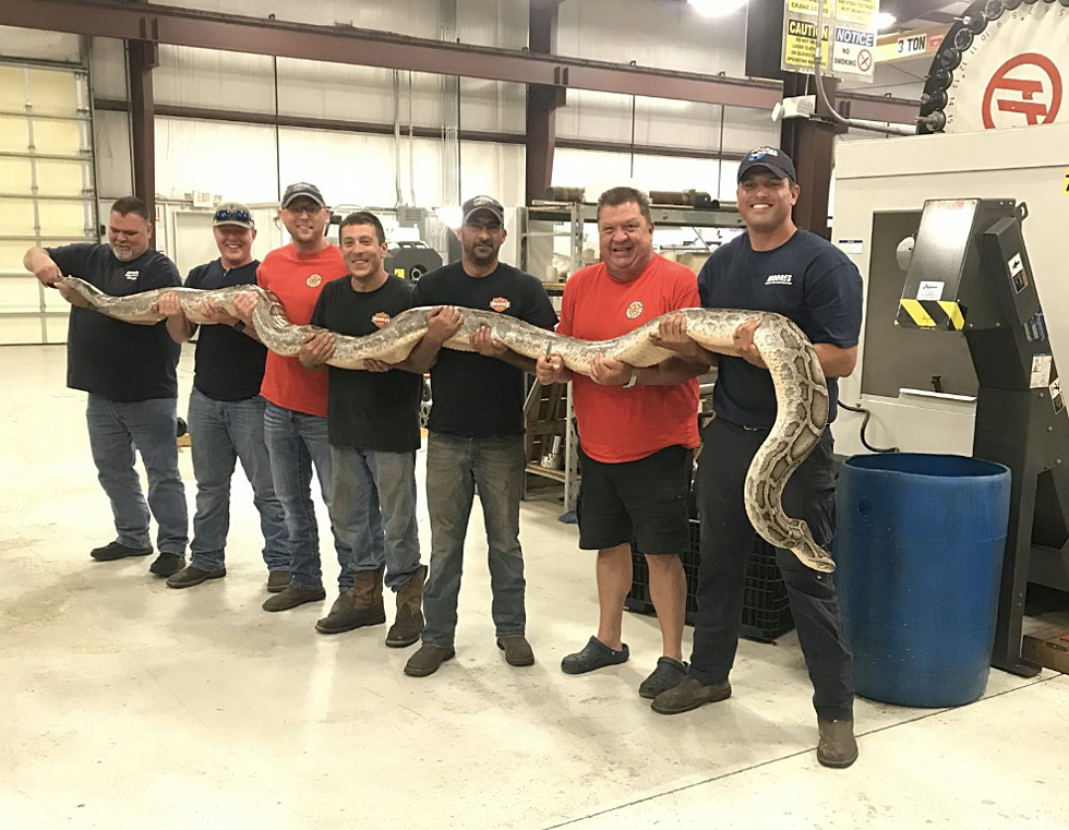 Enormous Snake Shows Up At A Shop In Broussard [PHOTOS]