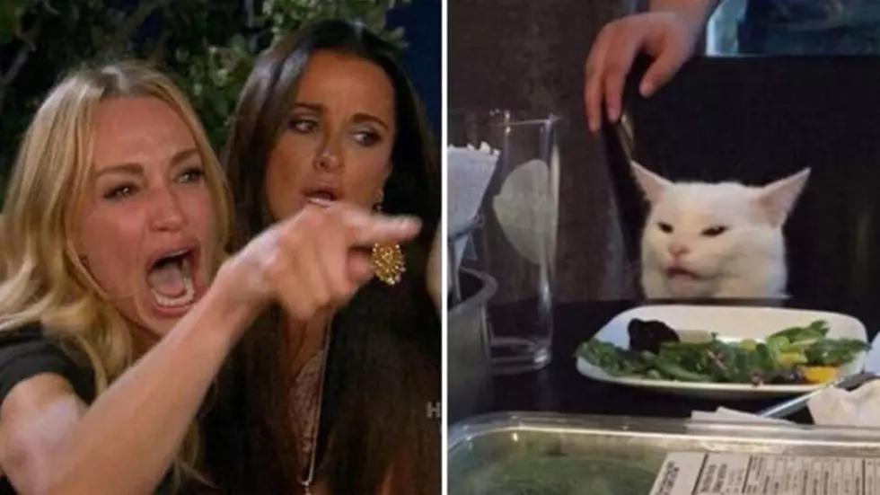‘Woman Yelling At A Cat Meme’ Gets Hilarious Cajun Treatment—Here Are Some Of The Best