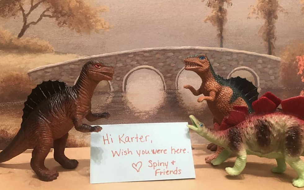 A Heartwarming Dino Homecoming