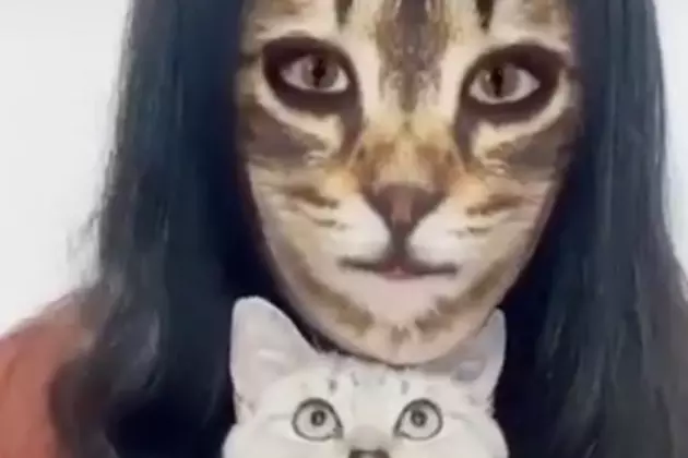 Cats React To Owners Using Cat Filter [VIDEO]
