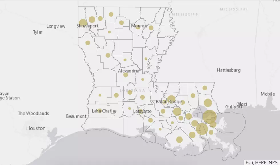 Louisiana COVID-19 Daily Update For March 23, 2020