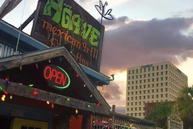 Agave Downtown Offers Free Meal to All UL Students [VIDEO]
