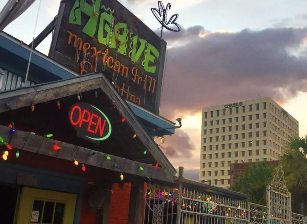Agave Downtown Offers Free Meal to All UL Students [VIDEO]
