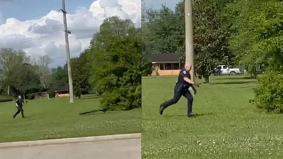 Hilarious Video Shows Broussard Police Officer Giving Chase To Runaway Peacock