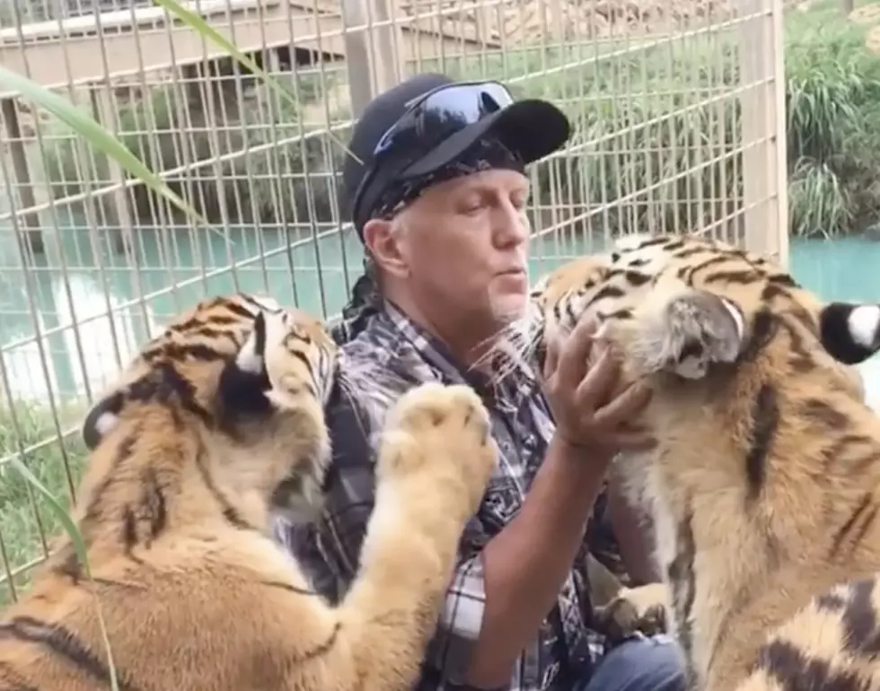 Controversial &#8216;Tiger King&#8217; Park Has Officially Reopened To The Public