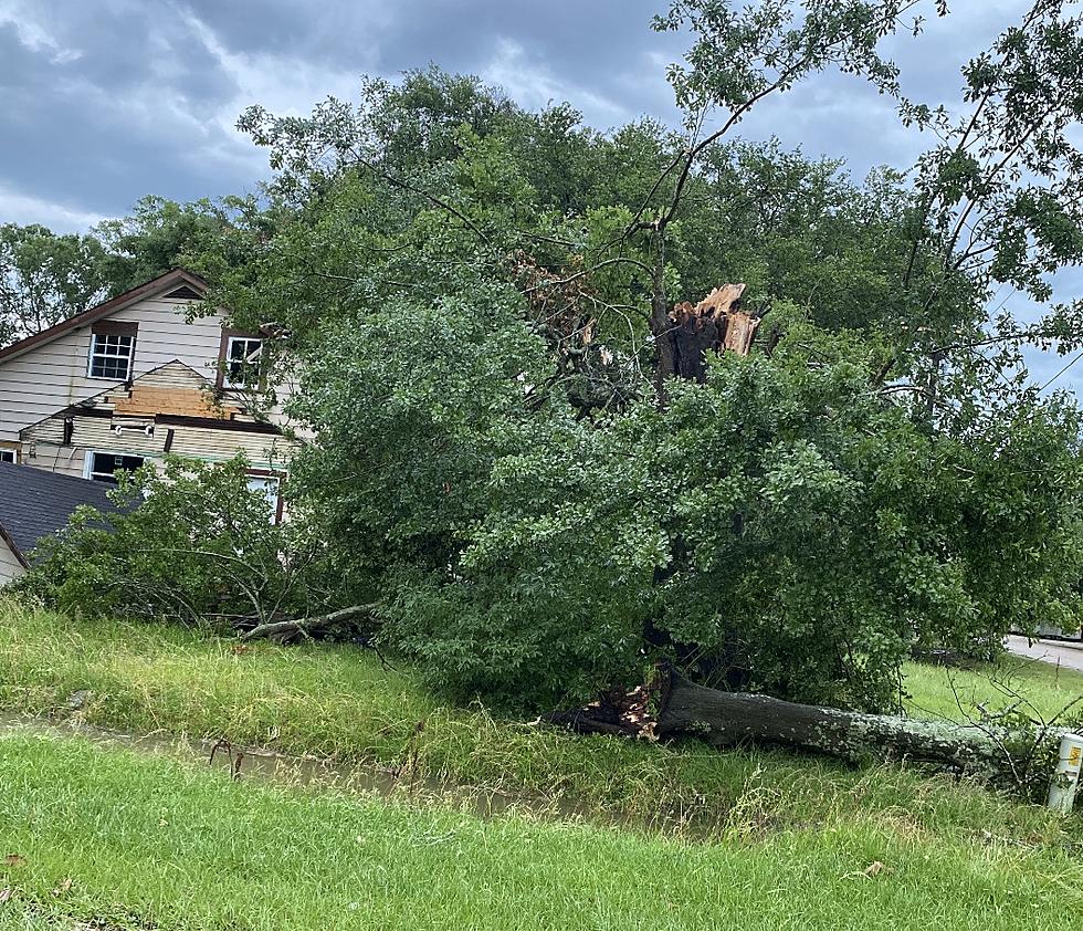 Iberia Residents Encouraged to Report Storm Damage