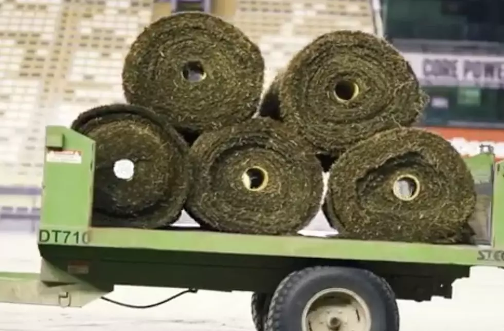 LSU’s Tiger Stadium Gets New Turf on Field and Sidelines [VIDEO]