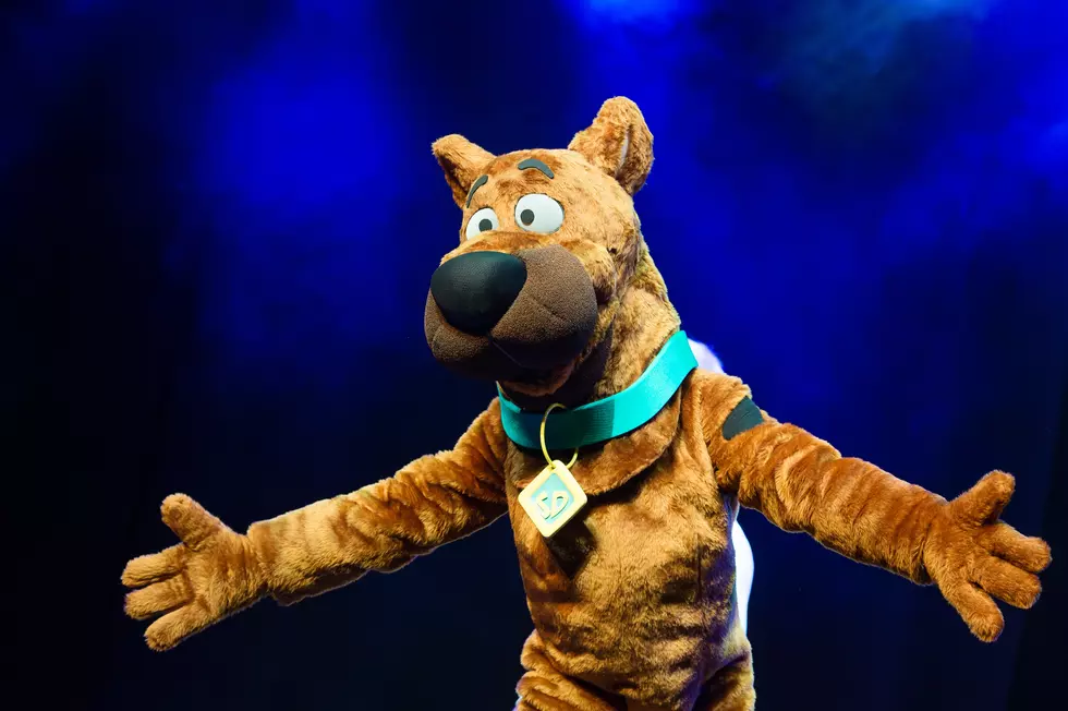 'Scooby-Doo Live! Musical Mysteries' - Photocall