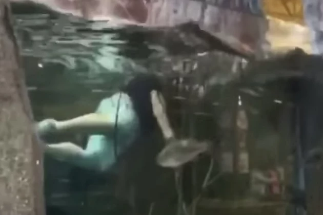 Man Swims in Tank At Bass Pro Shop Store [VIDEO]