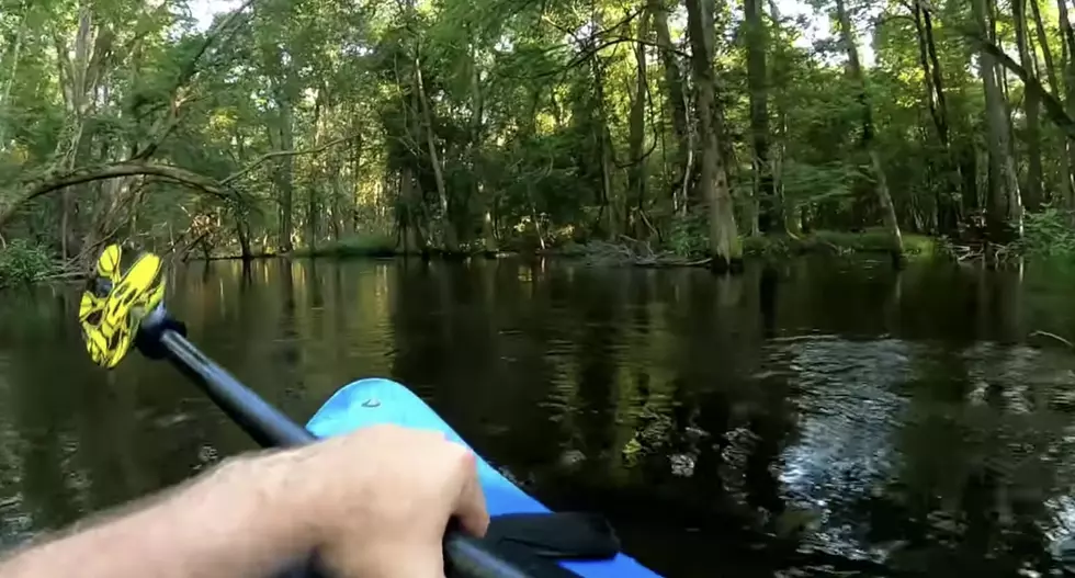 Watch the Scary Moment When an Alligator Rushes This Kayak on the Water