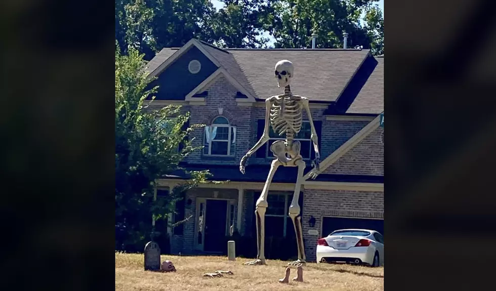 The Home Depot Is Selling A Giant 12-Foot Skeleton That Is Guaranteed To Win Halloween