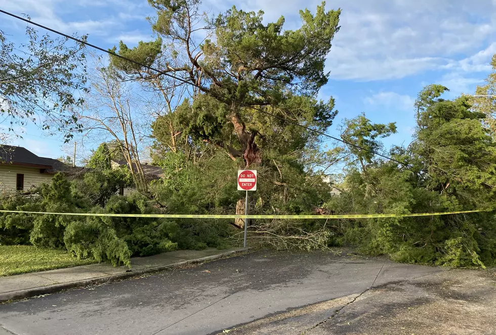 Moss St. &#038; Mudd Ave. Both Blocked By Downed Trees In The Wake Of Hurricane Delta