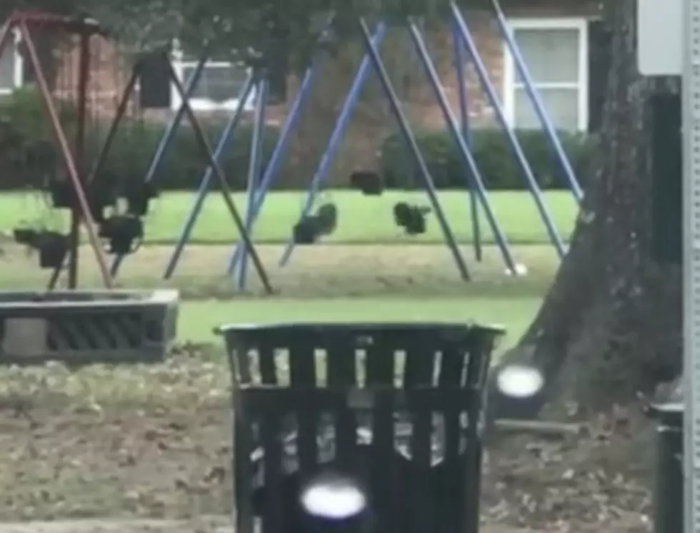 Did Someone Catch A Spirit on A Swing Set in Abbeville? [VIDEO]