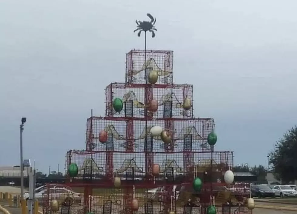 The Most Unique Christmas Tree in South Louisiana [PHOTO]