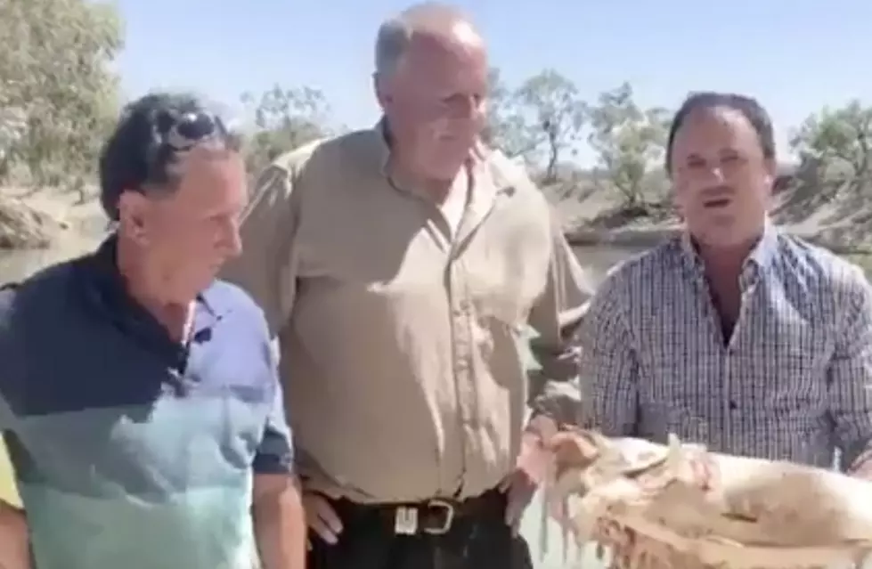 Politician in Australia Vomits While Holding Dead Fish [VIDEO]