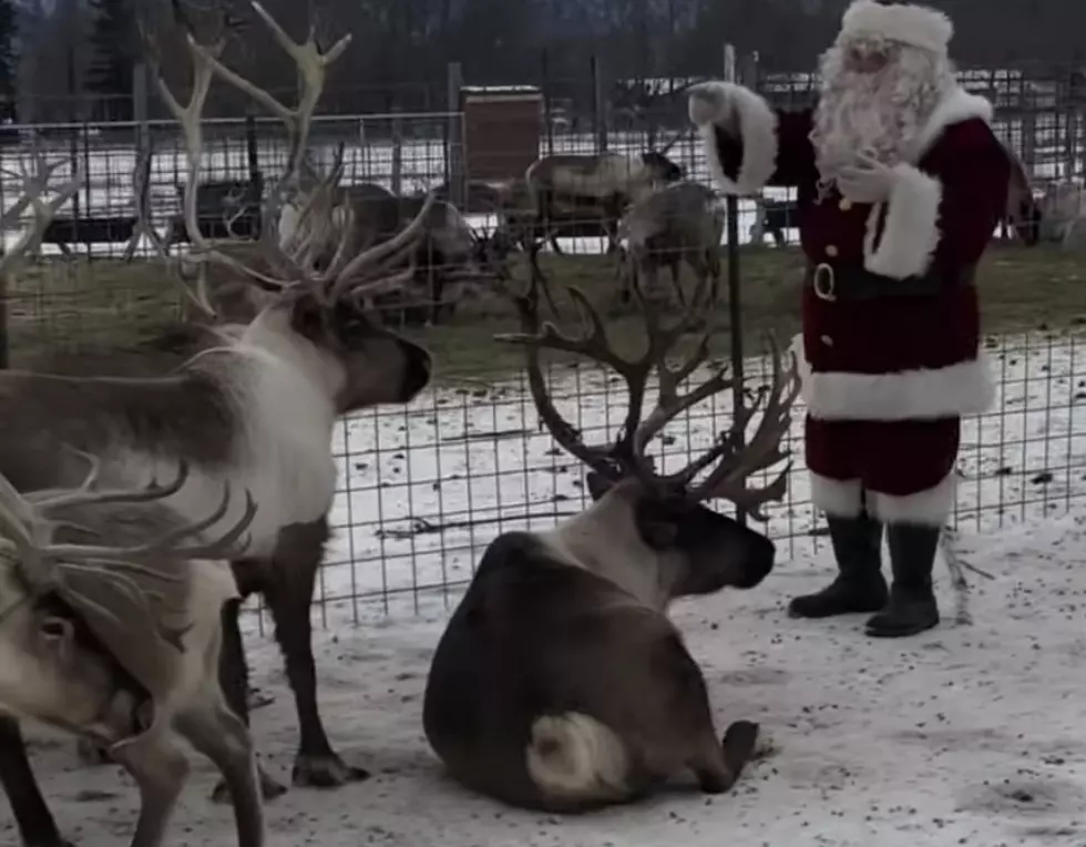 Santa Claus Has Conversation With Reindeer Prior to Christmas [VIDEO]