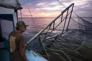 Louisiana Shrimpers Suing President Biden Over Mandate that Would...