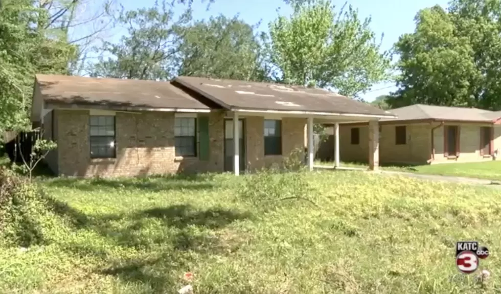 City of Carencro Defends Itself Against Report on Bees Infesting Local Abandoned Home