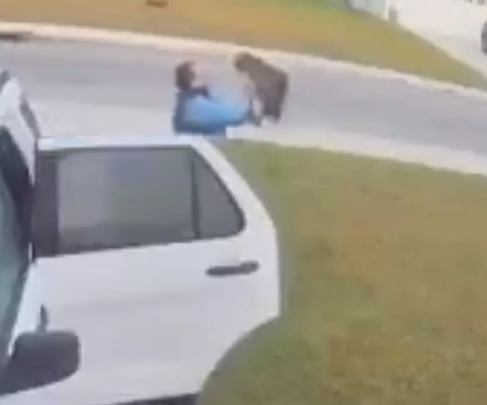 Bobcat Attacks Woman, Husband Tosses Wild Animal in Yard [NSFW-VIDEO]