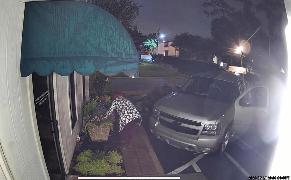 Lafayette Dentist Asking For Help to Identify Person Who Has Been Stealing His Flowers