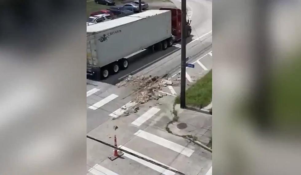 Animal Remains Ditched On New Orleans City Street Leaves Many Holding Their Breath