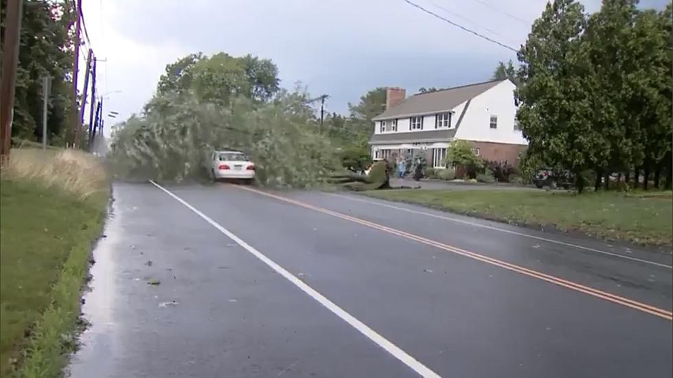 Car Smashes Front End Directly Into Tree That Was Downed Across Slick Roadway