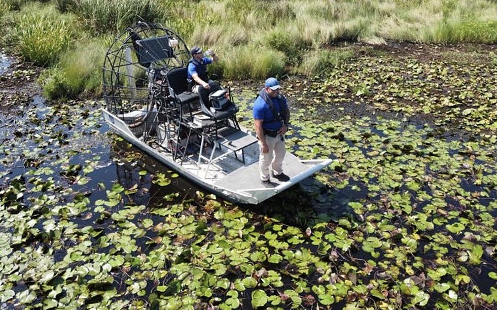 Hunters Capture Gator Suspected of Killing Man in Ida Floodwaters