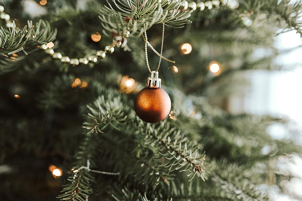 Christmas Tree Debate: When Should It Be Put Up?