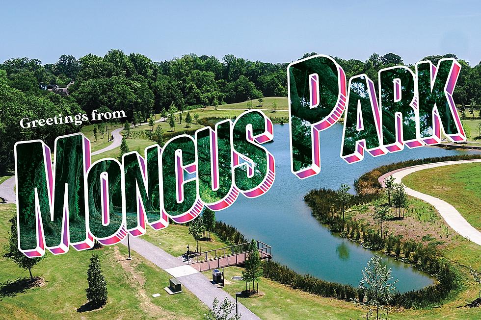 Moncus Park Announces Opening Date for 2022: What You Need to Know