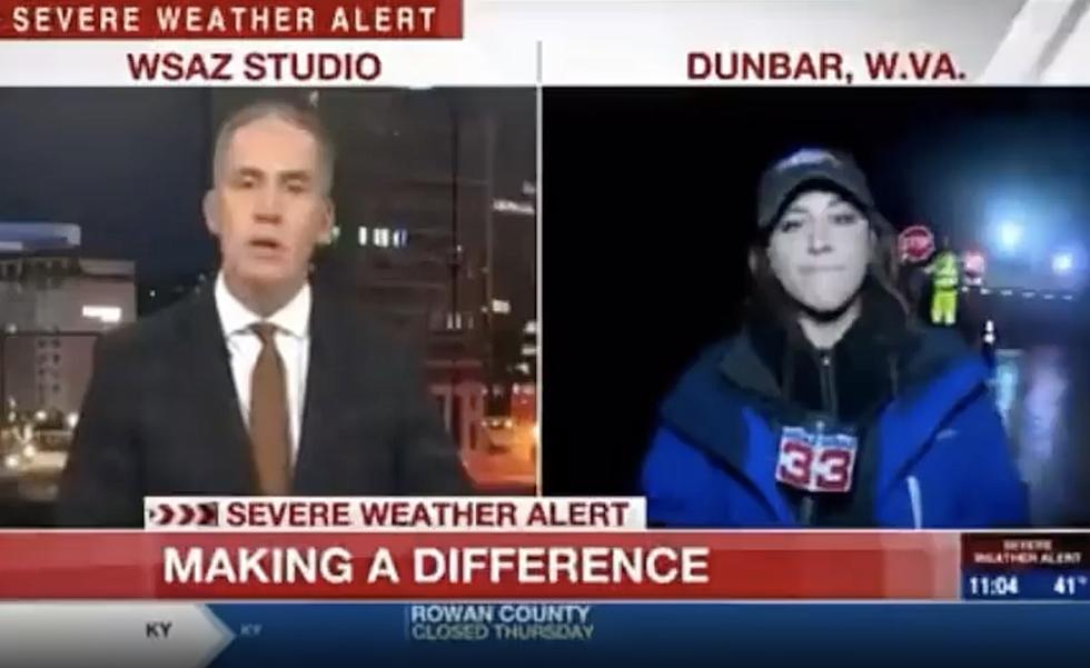 TV Reporter Hit by Car While Live on Air — Stands Up, Continues Reporting