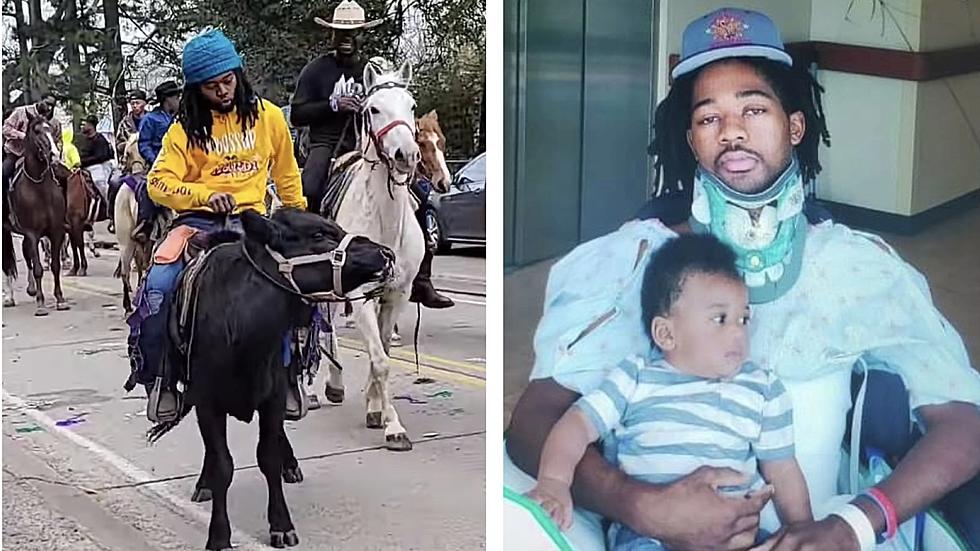 Man Rides Cow in Palmetto Parade