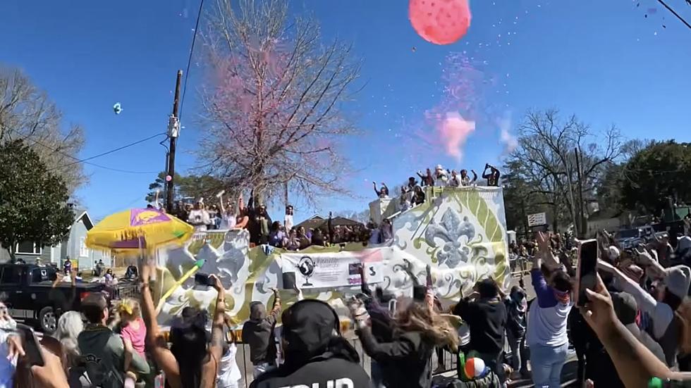 Carencro Mardi Gras Features Epic Gender Reveal for New Acadiana Parents
