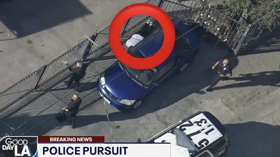 Police Hilariously Unable to Locate Suspect Who had the Worst Hiding Spot of All-Time