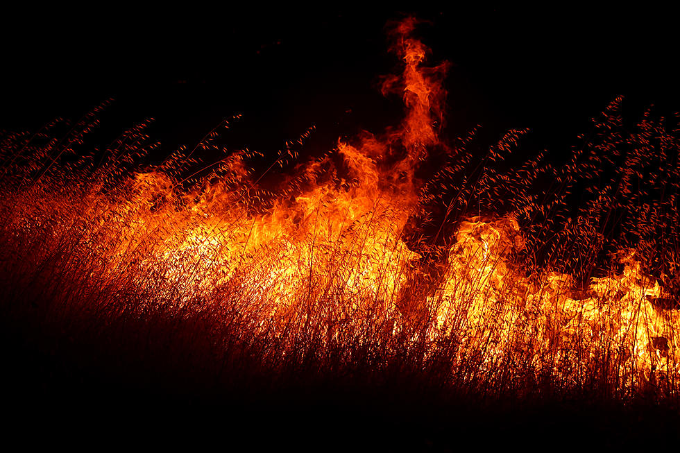 Interactive Louisiana Wildfire Map